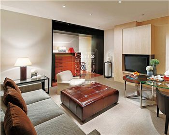 綿陽板式酒店公寓家具SIMLO035